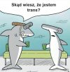 Tranzystor.