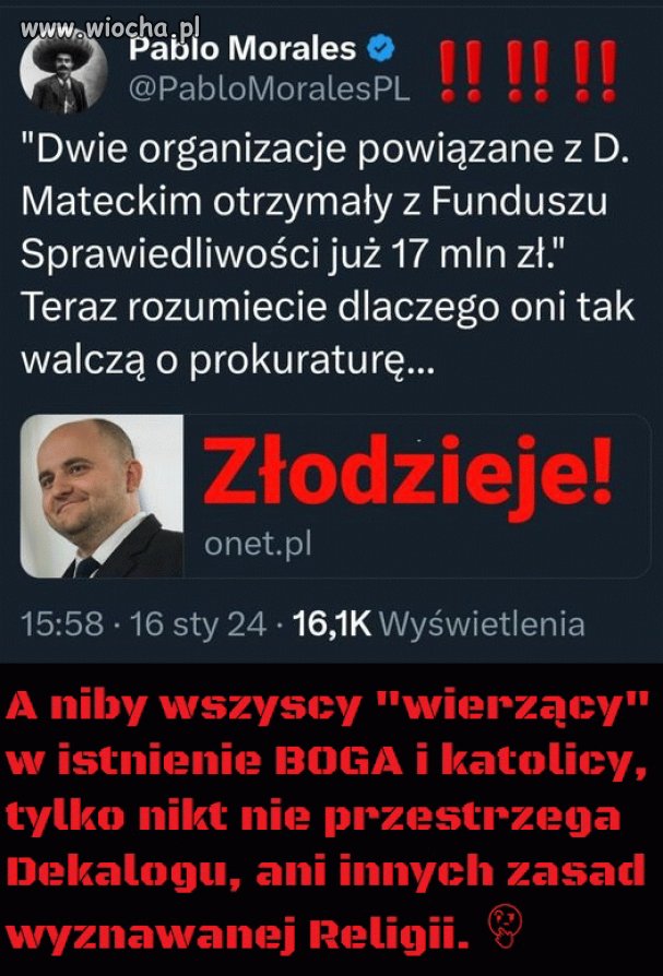 Złodziejskie bydlęta