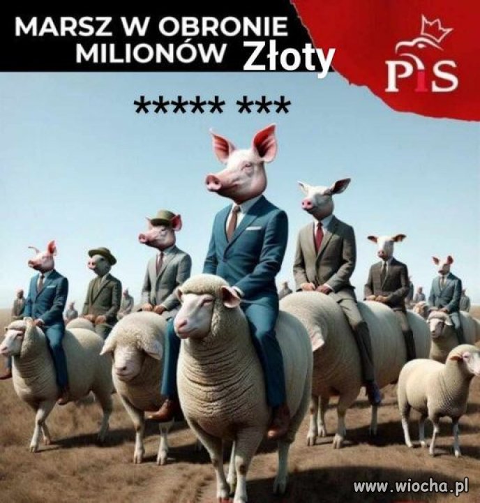 Tymczasem w stolicy