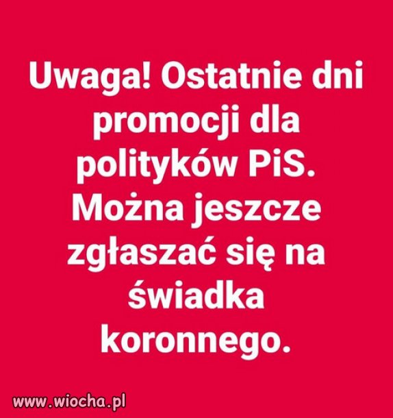 Kto pierwszy ten lepszy, wsrod PiSdojczy Kaczora!