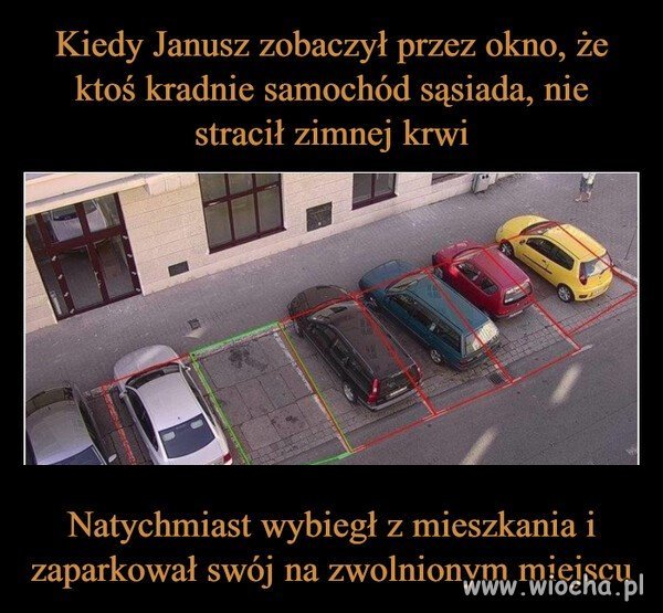 Cały Janusz
