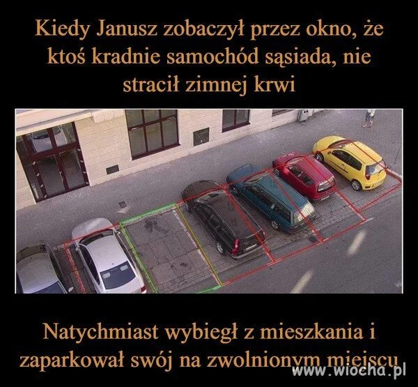 Cały Janusz