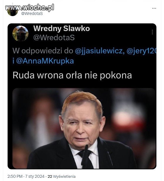 Wrona czy kaczor?