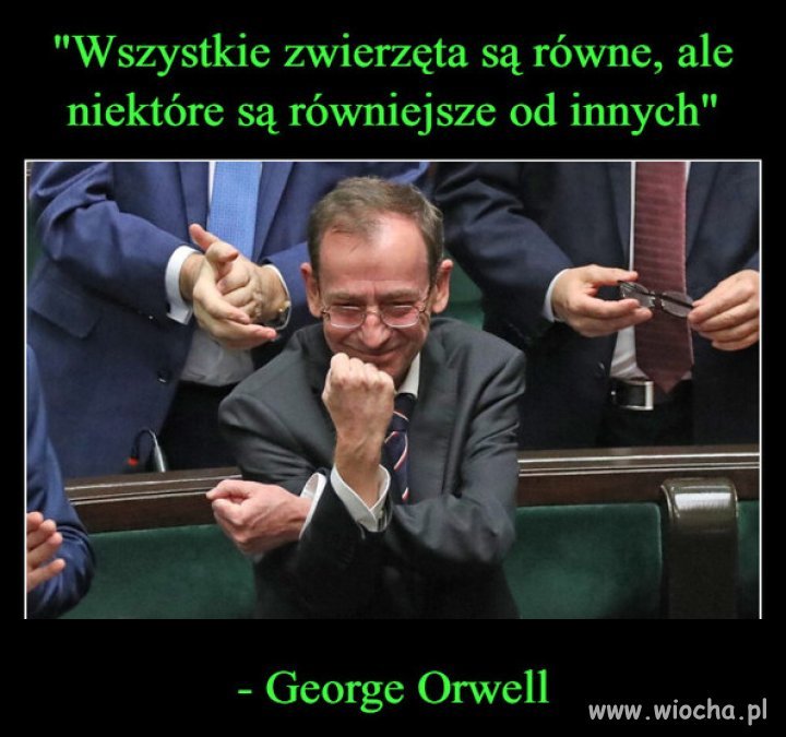 Bo Mafia Kaczyńskiego broni swoich kryminalistów!