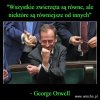 Bo Mafia Kaczyńskiego broni swoich kryminalistów!