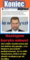 Jak mi nie przykro ty knurze