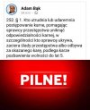 A Wąsik i Kamiński