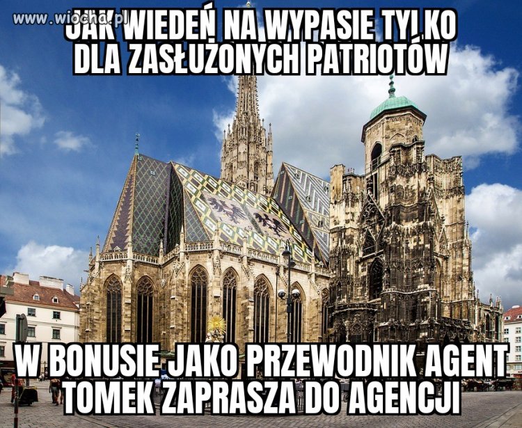 Biedne te pisy! By zaliczyć musieli za granice!
