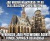 Biedne te pisy! By zaliczyć musieli za granice!