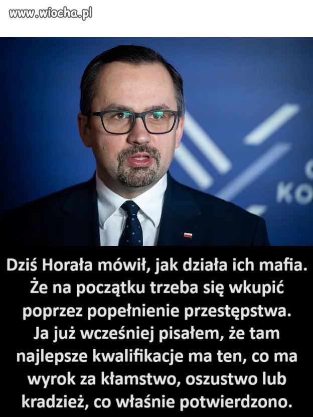 Potwierdziło się, że PiS jest organizacją mafijną