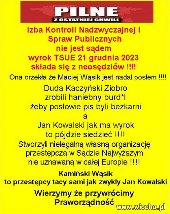 Wszystkich pisowskich przestępców postawić przed sądami. 