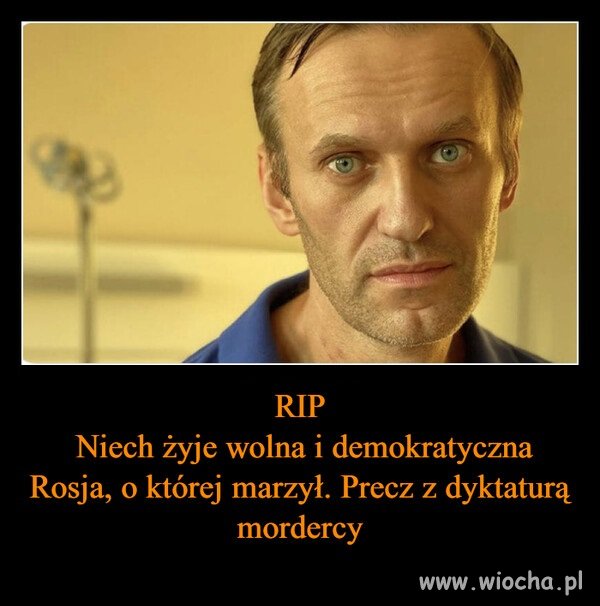 Cześć i chwała bohaterom gotowym walczyć o wolność