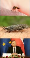 Wkurzają ludzi...