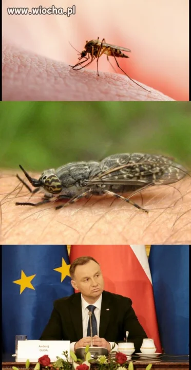Wkurzają ludzi...