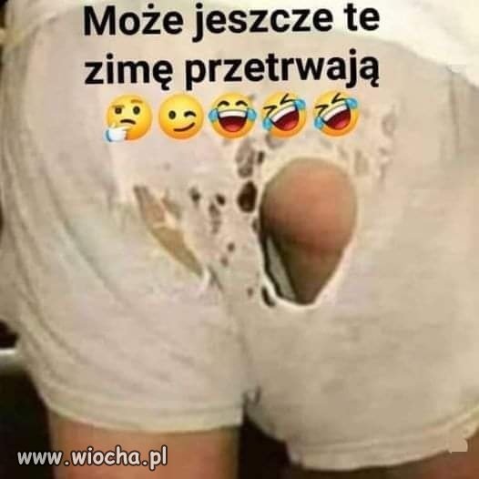 Chyba nie dadzą rady.