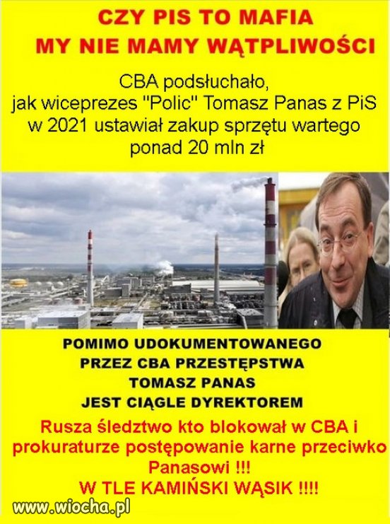 Im dalej w las, tym więcej drzew...afer i korupcji PiSu!