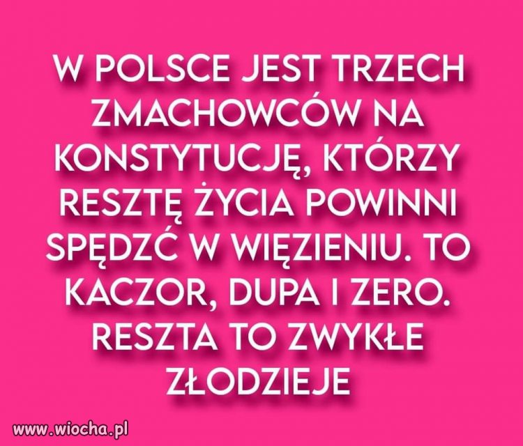 PiS to toksyczna partia, z toksycznym kulturowo elektoratem!
