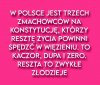 PiS to toksyczna partia, z toksycznym kulturowo elektoratem!