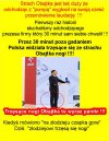 Im kto głupszy, tym wyższe stanowisko w Cyrku Kaczyńskiego