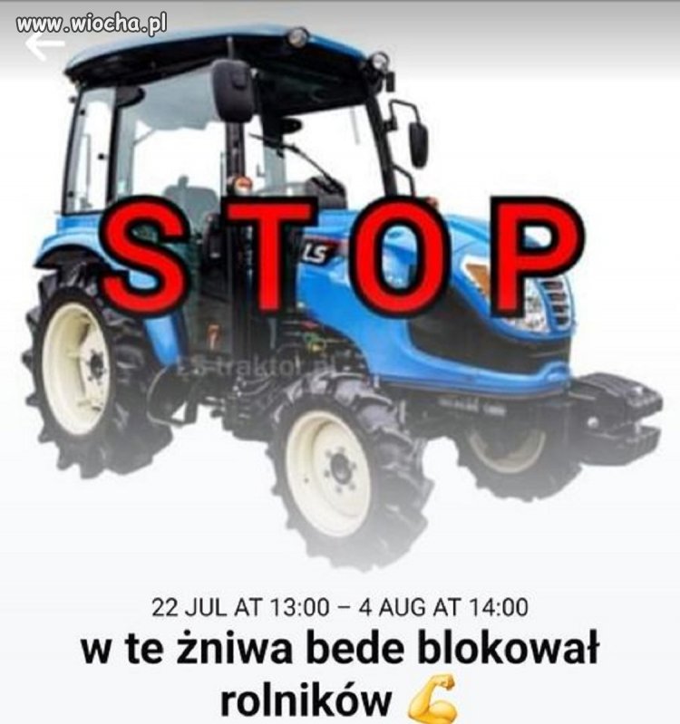 Zrozumcie żłoby co to znaczy