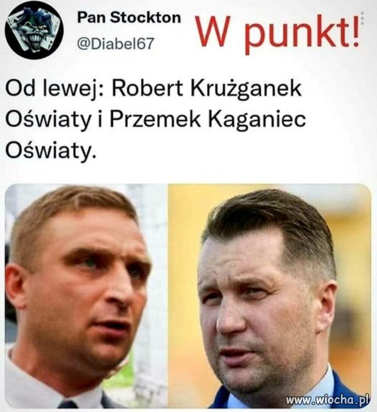 Mordy nieskalane inteligencją