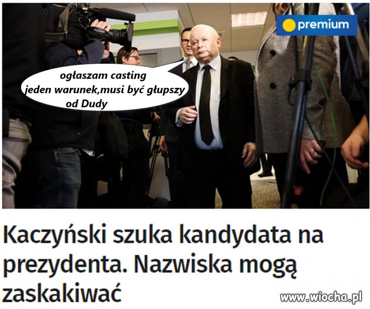 Cap szuka