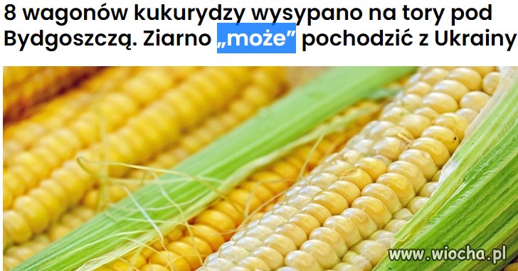 Znaleźli kukurydzę w wagonach