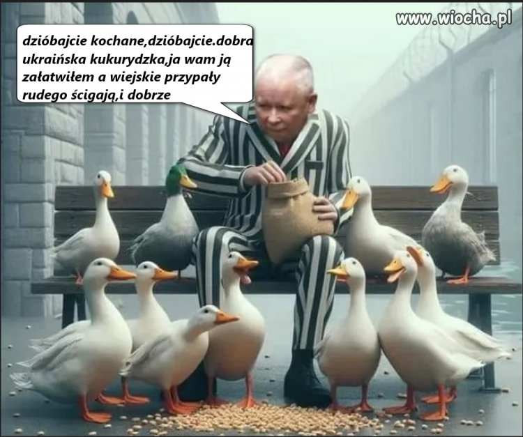 Dobra ukraińska