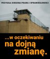 I to wcale nie jest żart.