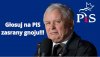 Podobno PiSdzielcza mafia wybrała hasło