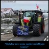 Brak słów