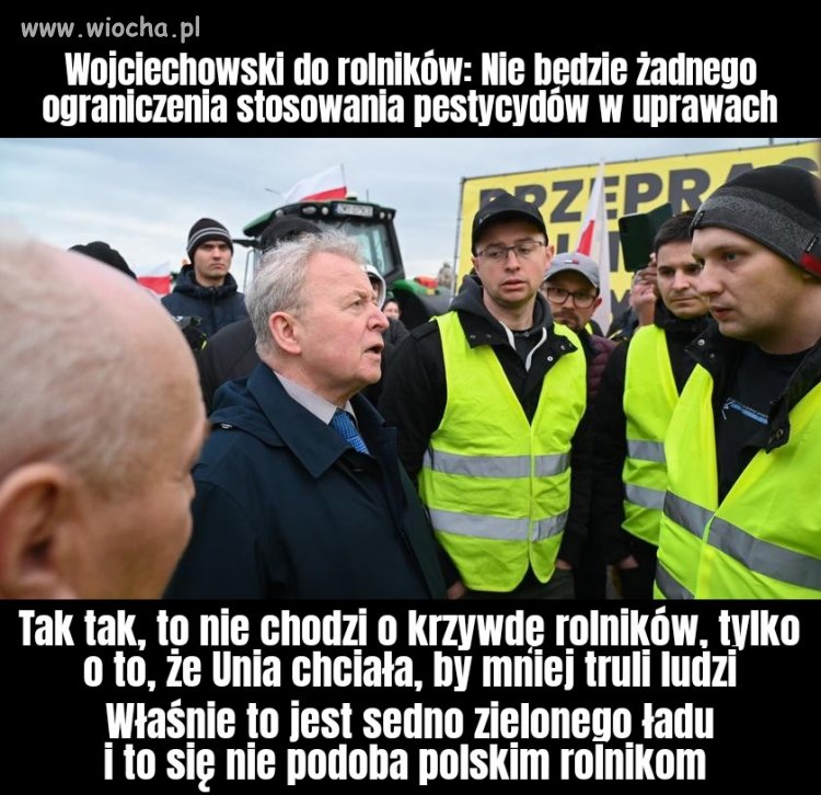 Producenci nowotworów terroryzują polskie miasta 