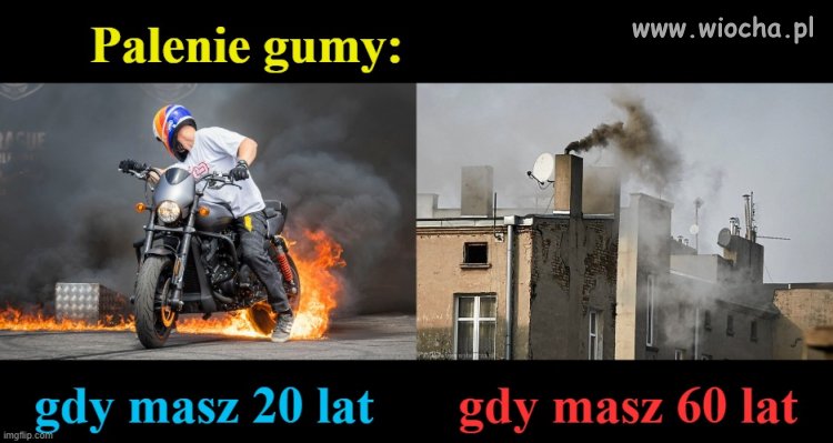 Głupota jest wieczna,