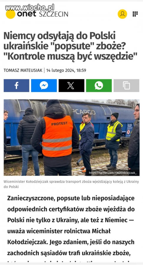 Sąsiedzi 