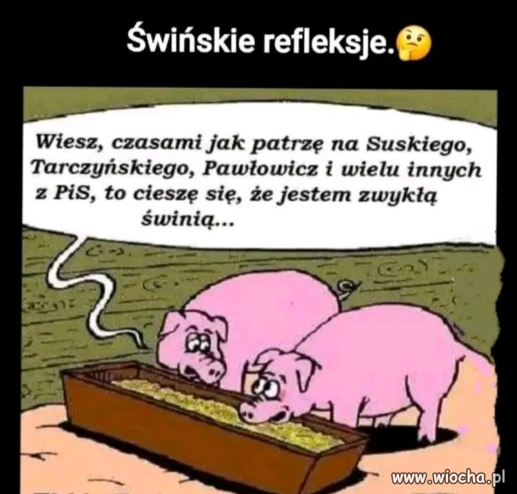 Wcale się nie dziwię ...