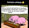 Wcale się nie dziwię ...