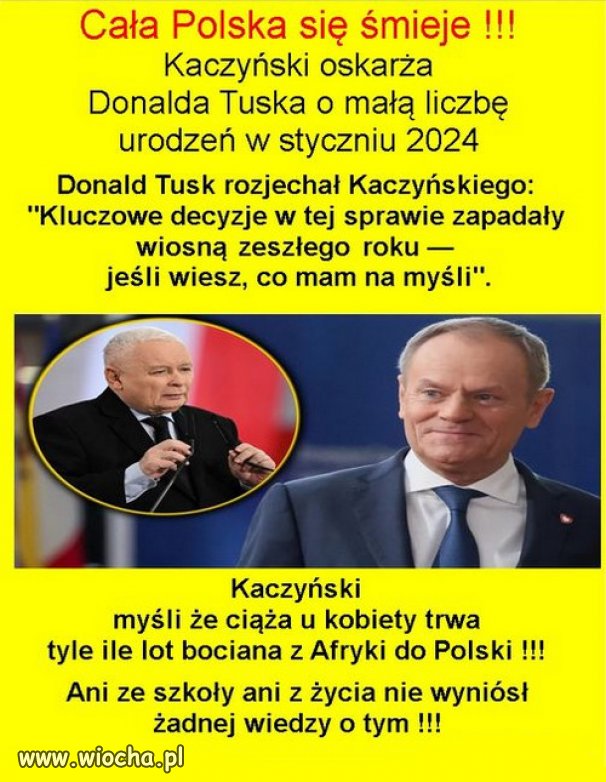 Udowodnił, że został znaleziony w kapuście...