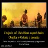 Inwestorzy świętują odejście prezesa Daniela Obajtka.