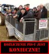 I do szamba!!!