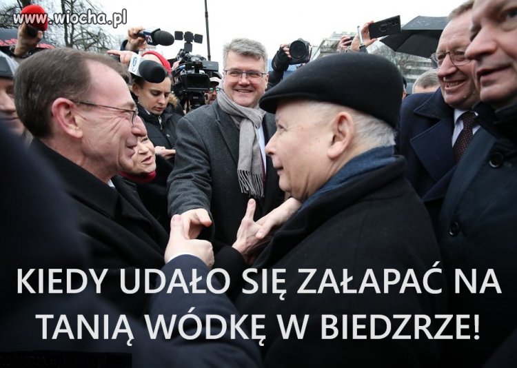 Zorganizowana grupa przestępcza.