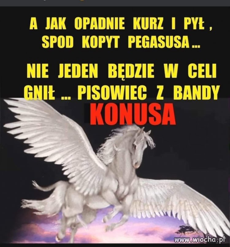 Tak będzie ...Konus jest ponoć gotów na to, że ...