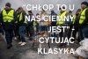 Bareja wiecznie żywy