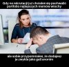 Ale przynakni nikt nie zapuka o 6 rano 