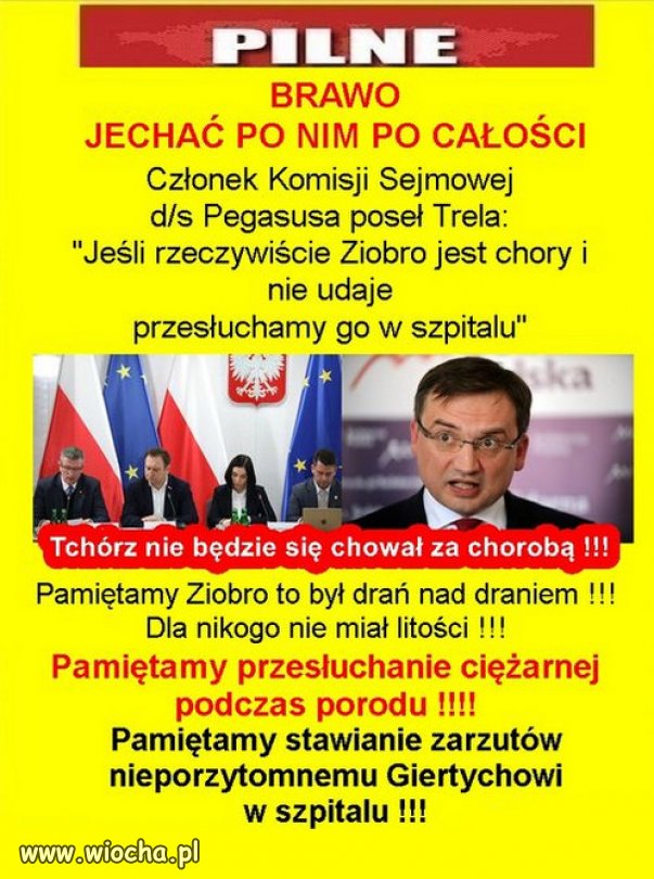 To szczur i łajdak mafii pis! Za mordę go I do Kaju sprowadzić!