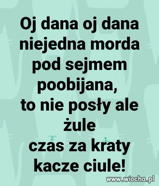 Polityczne żule.