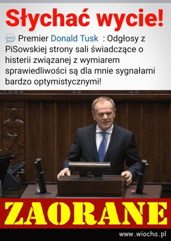 W punkt