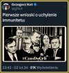 To już w tym tygodniu ...