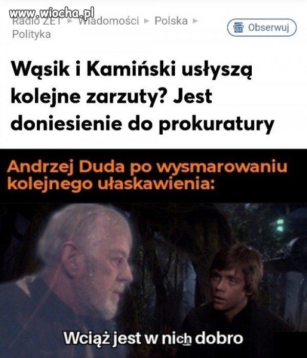 Cyk, podpisik