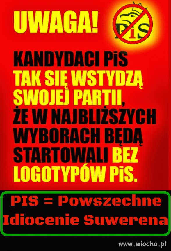 Pisowska żenada