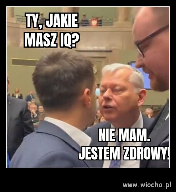 Zdrowy jak byk !  Inteligentny jak baran ...